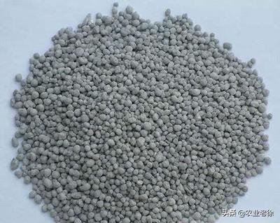 ��β����^��ʩ���׷ʣ��׷ʳ�����ʲô�����