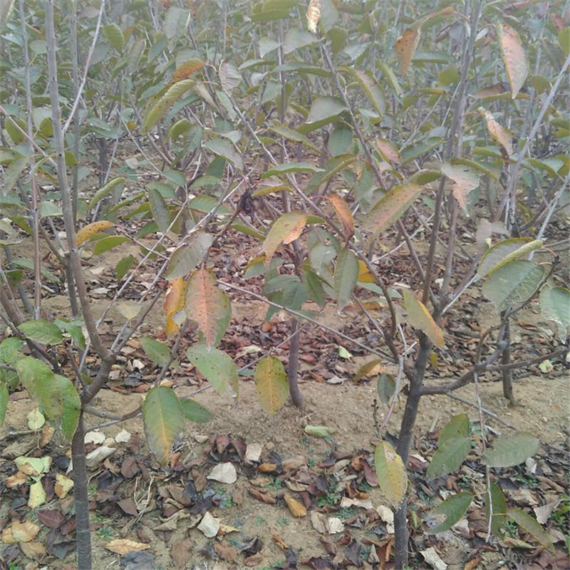 �����J��ôʩ����֪��ô�������Jʩ�ʼ��g(sh��)��