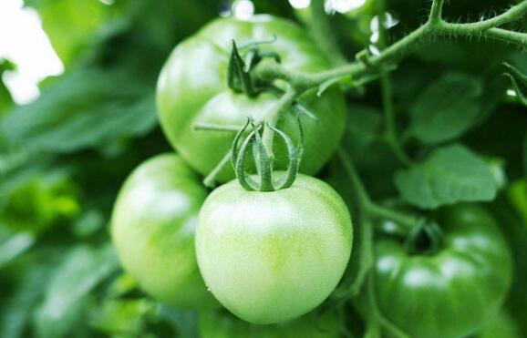 ��������ʩ�ʲ��ܸ߮a(ch��n)�����Ѹ߮a(ch��n)ʩ�ʼ��g(sh��)��