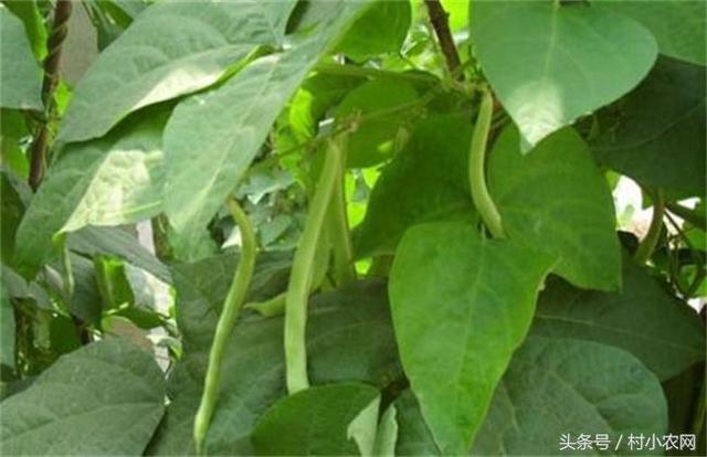 �|���׷ʑ�(y��ng)ԓ��ôʩ���|���׷�ʩ�ʼ��g(sh��)��