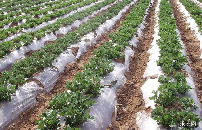 ����ʩ�ʑ�ԓ��ʲô���ϣ���ôʩ�ʣ�