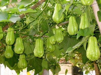 ���ֹ��_���Y�ϑ�ԓ���ʩ�ʣ�ӛס�@���c��