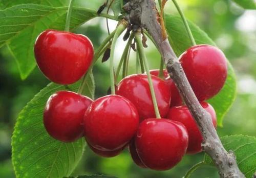 ���ґ�ԓ��ʲô�r��ʩ�ʣ�����ʩ�ʼ��g��