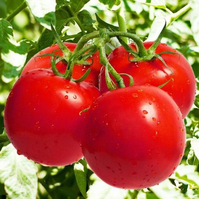 ���t�������Ҏ����ʲô��ʩ�ʕr��Ҫע��ʲô��