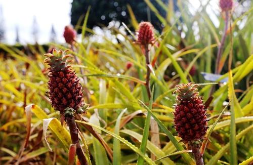 �Nֲ���}��ԓ���ʩ�ʣ����}ʩ�ʼ��g��