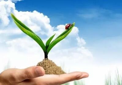 ����ʵķN�����Щ�����c����ʲô��