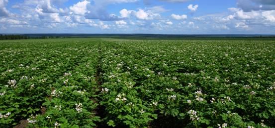 2020���R����ƌW(xu��)��ȼ��g(sh��)ָ��(d��o)��Ҋ