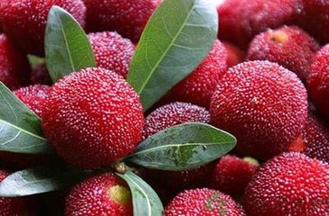 ��÷��ȫ���a���gҪ�c