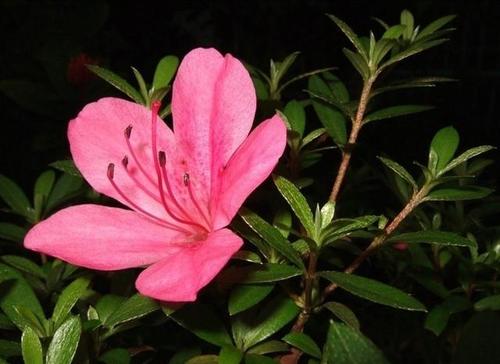 ���N����ʩ��Ҫ�c��ʲô�����N����ԓ���ʩ�ʣ�