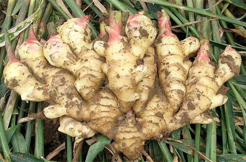 �������νo��ʩ�ʣ�����Щ������