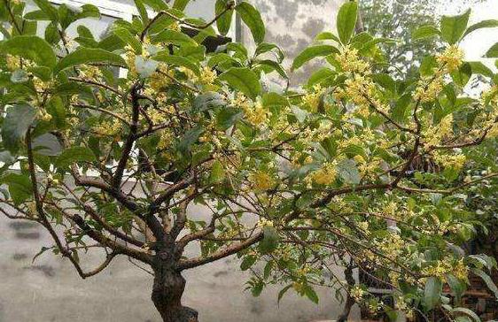 ��������(sh��)��(y��ng)ԓ����M(j��n)��ʩ�ʹ�������Ҫע��ʲô��