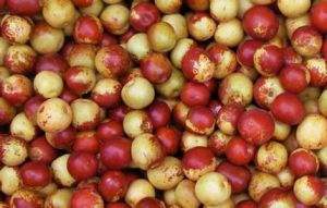 �������L����Ҫ������ù��������������ƌW����