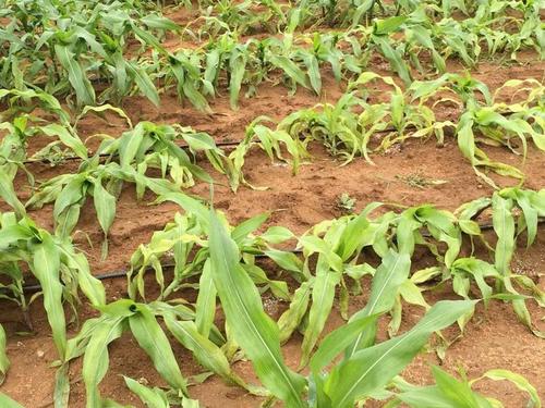 ���׷ʺ���ԓ����A������ԓ��ξ��Σ�