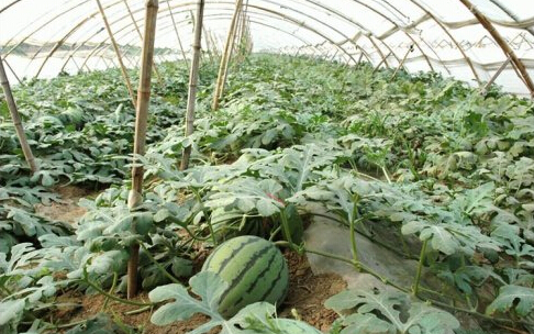 ������ô������ϼ޽ӣ��������ϼ޽Ӽ��g(sh��)��