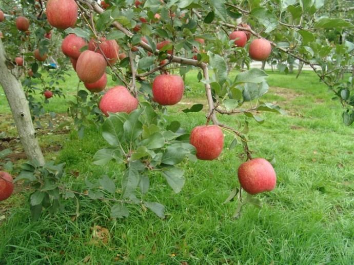 �O���@�����M���������ࣿ�O���@�������༼�g(sh��)��