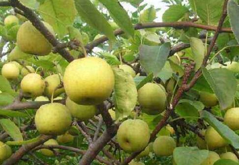 ���� �������(sh��)���� ��߮a(ch��n)���б��C��