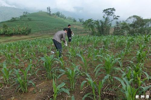 �^��ʩ�õ�����ʲôΣ������ԓ���Ӿ�����