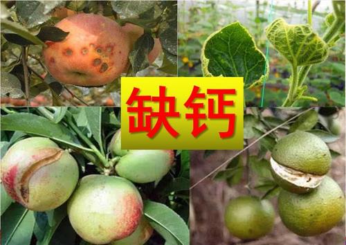 �r����ȱ�}��ɶԭ���r�����a�}����