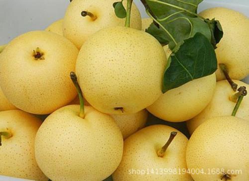 Ӱ���߮a��������Щ����߮a�Nֲ���g��