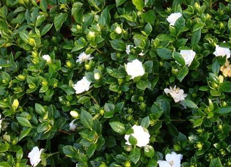 �d�ӻ�ԓ���ʩ�ʣ��d�ӻ�ʩ�����g��Ҫע����Щ���