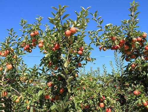 �O����߮a(ch��n)��ɶ���E��