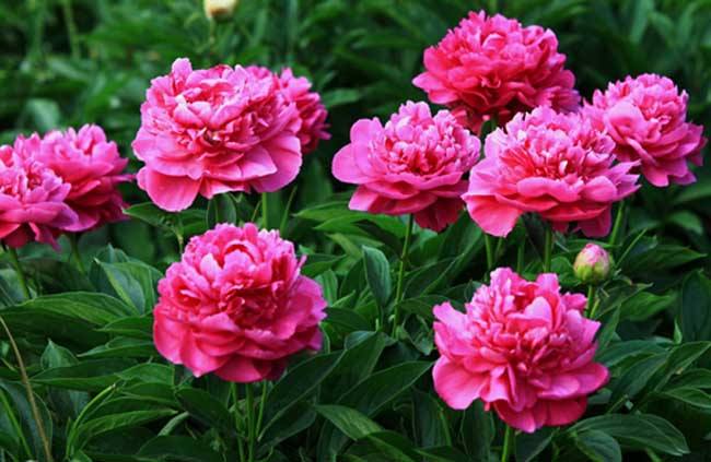 �Nֲ��ˎ��ԓ���ʩ�ʣ���ˎʩ�ʼ��g��