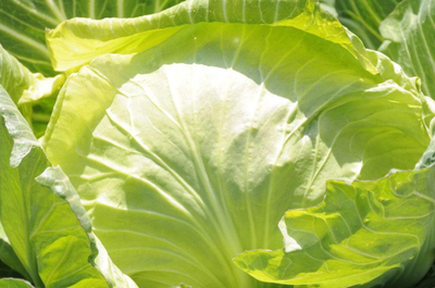 Ʒ�|�� Ч��� �����ĸ��{�@ô�N