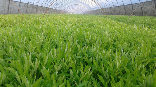 ������Ҫ�߮a(ch��n)��ԓ���ʩ�ʣ�����߮a(ch��n)ʩ�ʼ��g��