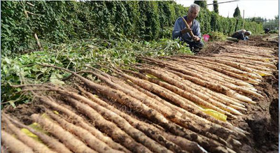 ɽˎ��������c��ʲô���Nֲɽˎ��ԓ���ʩ�ʣ�