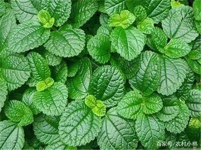 ����ʩ����ʲô���ϣ���ԓ��ôʩ��