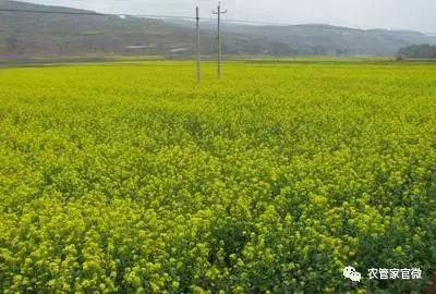 2020���ﶬ�����Ͳ˿ƌWʩ��ָ����Ҋ