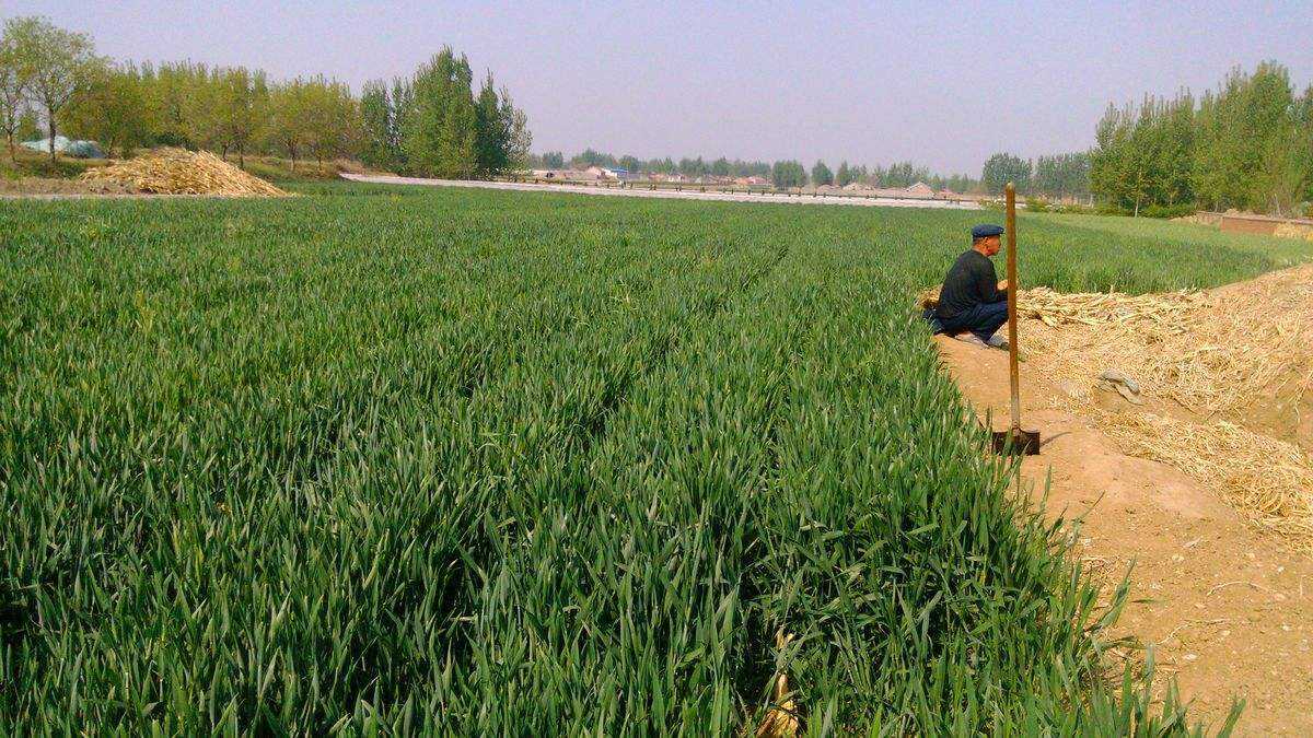 �Nֲ��С����ԓ���ʩ�ʣ�ʩ�ʕr��Ҫע��ʲô��