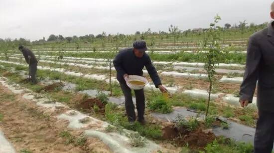 �Nֲ�Ҙ䑪(y��ng)ԓ��ʲô�r��ʩ�ʣ���(y��ng)ԓ��ôʩ�ʣ�