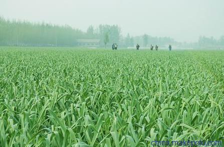 ����׷�ʩʲô���ϱ��^�ã����������ôʩ��