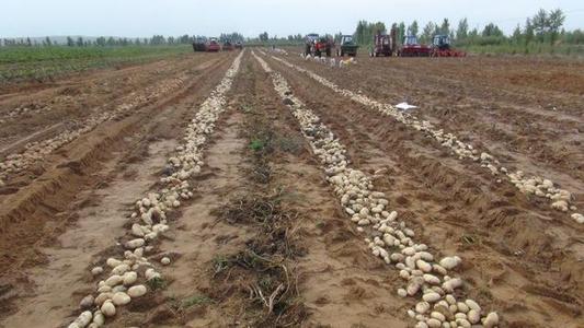 �Nֲ������Ҫ�߮a(ch��n)��(y��ng)ԓ���ʩ��������ʩ�ʼ��g(sh��)��