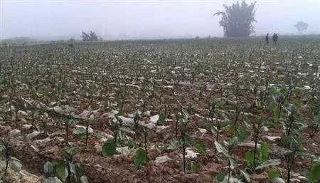 ��������ʩ�ʕ�(hu��)��(du��)�������ʲôӰ�����(y��ng)ԓ���ʩ����