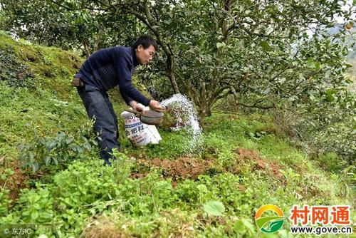 ��ʲô����Ҫ���^��ǰʩ�ʣ���(y��ng)ԓʩʲô�ʣ�