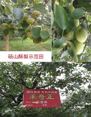 ��ˎ��Ч���Æ᣿��ˎ�ʵ����ÙC��