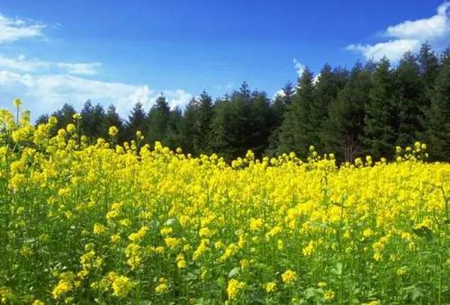 �Ͳ�ʩ����Ҫע��ʲô��ӛס�@���c��