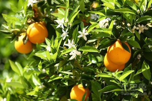 ���Ә��ڲ�ͬ�A�Α�(y��ng)ԓ���ʩ�������Ә�ʩ�ʼ��g(sh��)��