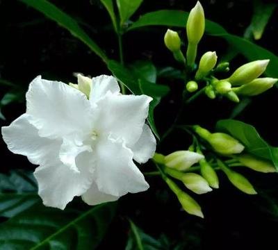 �����������Ҏ(gu��)����ʲô��ʩ�ʕr(sh��)��Ҫע��ʲô��