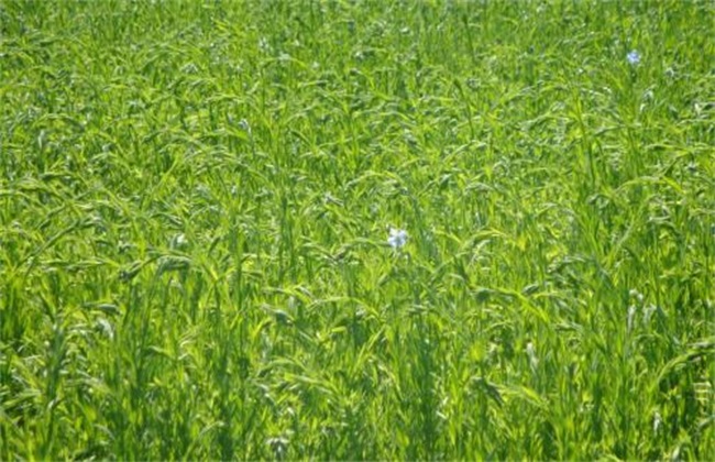 ��ʲô����׷�ʺ����R�ϝ�ˮ��ӛס�@���c��