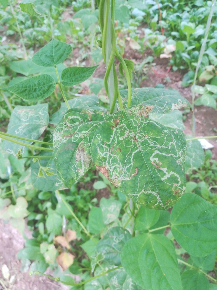 �|�������ڑ�ԓ���ʩ�ʣ���Ҫע��ʲô��