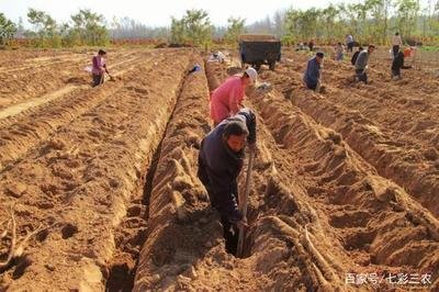 ɽˎ��Ҫ�߮a(ch��n)��ԓ���ʩ�ʣ�ɽˎ��������c��ʲô��