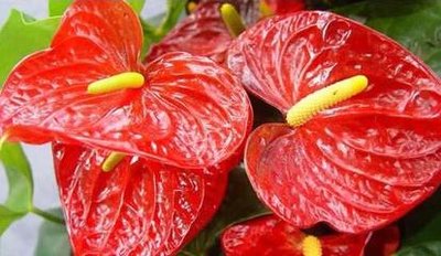 �Bֳ�t�Ƒ�ԓ���ʩ�ʣ��t��ʩ�ʼ��g��