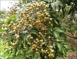 ��������������ʑ�ԓ����ʹ�ã���Ҫע��ʲô��