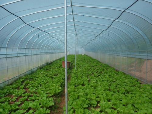 ���������߲�ԓ��ι��������������߲˹���Ҫ�c��