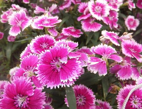 �Bֳʯ��ԓ���ʩ������ԓ����M��ˮ�ʹ�����