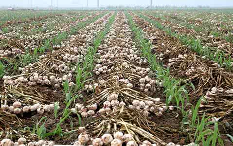 ���ⶬ����ԓ���ʩ�ʣ���Ҫע��ʲô��