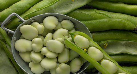 �Q����Ҫ�߮a��ԓ���ʩ�ʣ��Q����������c��ʲô��